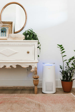 Air Purifier for Large Rooms